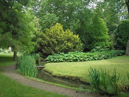 PROUST-JARDIN.jpg